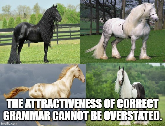 horse-grammar-meme